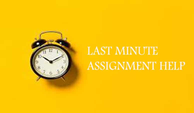Affordable last minute homework assignments