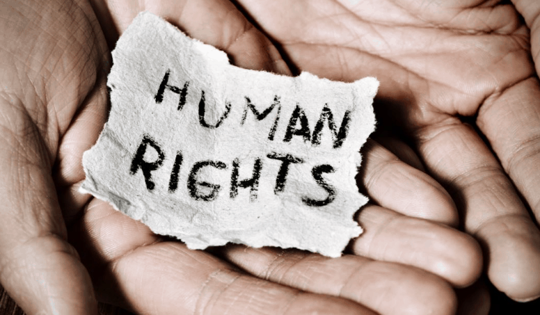Human Rights Law Assignment Help