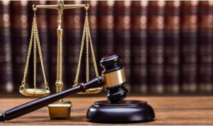 foundation law assignment help