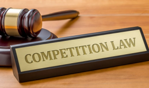 competition law assignment help