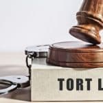 Tort Law Assignment Help