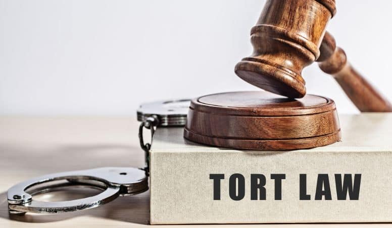 Tort Law Assignment Help